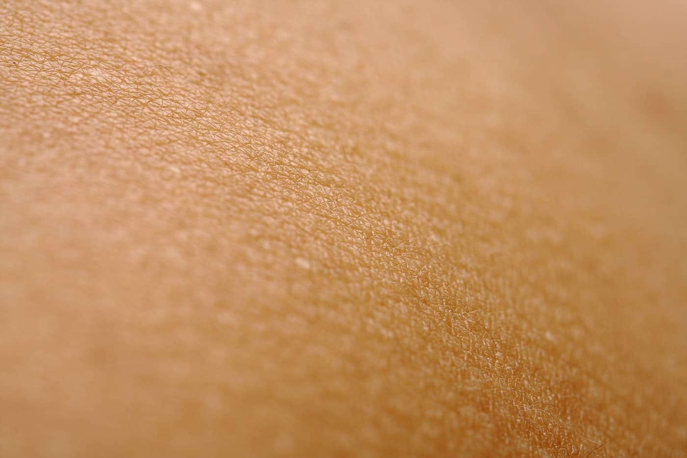 Macro da textura da pele em tons quentes, detalhe da dermatoscopia digital